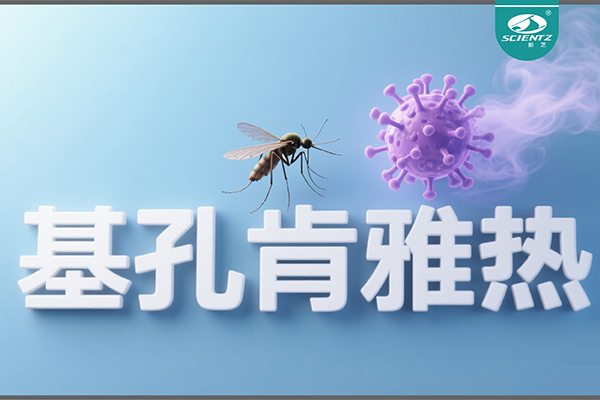 基孔肯雅熱疫情升級！新芝生物硬核技術(shù)助力病毒精準診斷