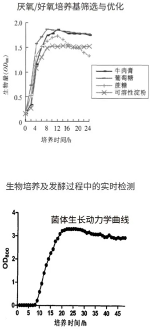 過程安全，結(jié)果精準(zhǔn)